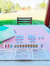 THE SCANDINAVIAN FOLK ART SERIES | Mahjong with Nordic Style