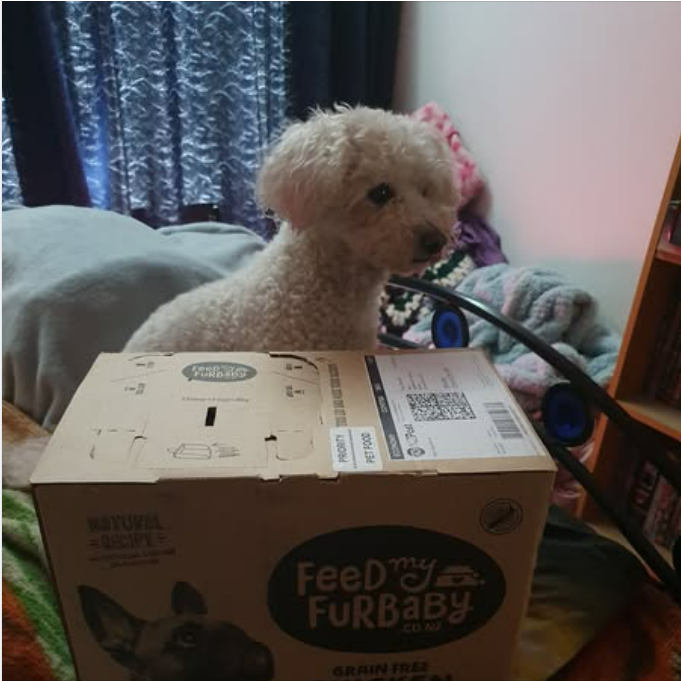 Chicken Dog Food