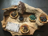 Stephanie Dibbert review photo