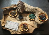 Stephanie Dibbert review photo