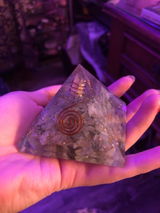 Berta review photo