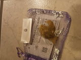 Marcos review photo