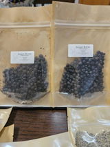 Kiera review photo