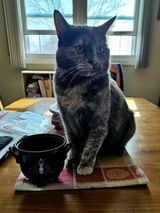 Sydnie review photo