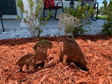 Etsy customer review photo