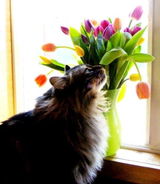 Etsy customer review photo