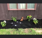 Etsy customer review photo