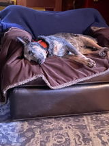 Etsy customer review photo