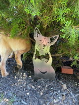 Etsy customer review photo