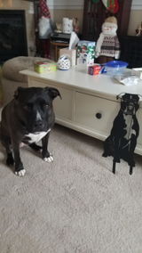 Etsy customer review photo