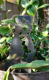 Etsy customer review photo