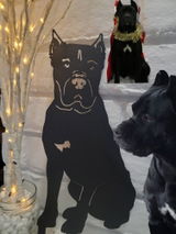 Etsy customer review photo