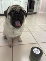 Oral Care Food Topper for Dogs