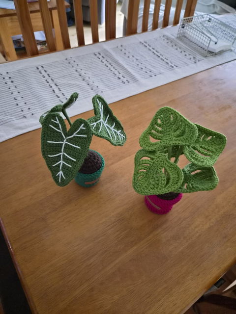 *NEW* Mini Alocasia Amazonica Crochet Plants | 2 Colours