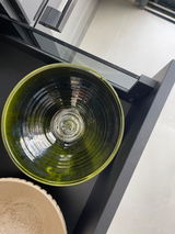 Alexa review photo