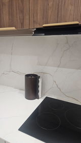 Anissa SID review photo