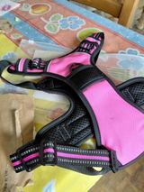 Laetitia M. review photo