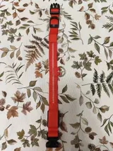 Linnie Schinner review photo