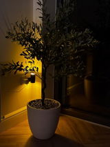 Luca B. review photo