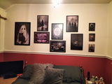 Tracy crosthwaite review photo