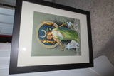 Mira S review photo
