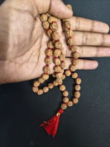 Abhishek review photo