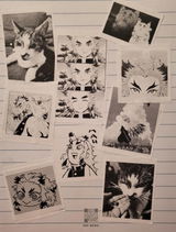 Rayi review photo