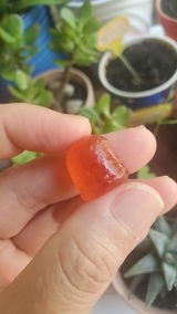 andeeshappytummy review photo
