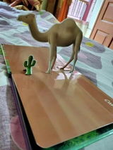 Mitali Ghosh review photo