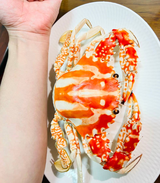 Irfan M. review photo