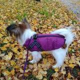Linh review photo