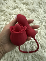 Olivia T. review photo