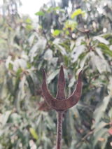 Abhishek review photo