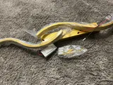 Lester review photo