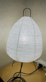 Ivory review photo