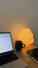 Albert review photo