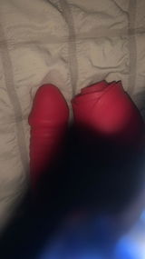 Haylee review photo