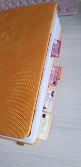 Enora Morin review photo