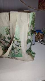Somaya review photo
