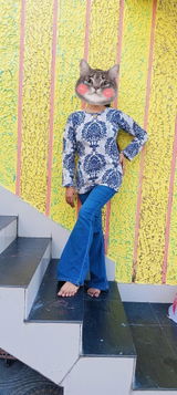 Archana balaji iyer review photo