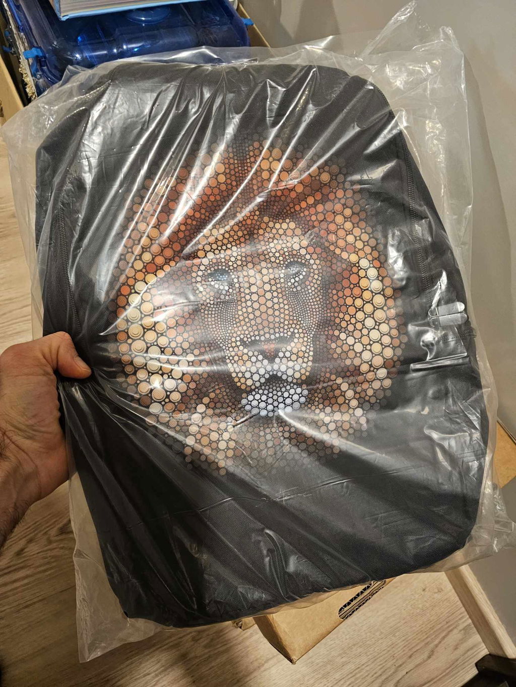 Ben Heine Lion Chain Backpack Large Travel Laptop Backpack, School Backpack Book Bag Gifts for Men Women