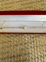 Shannon Dolan review photo