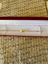 Victoria Gonzalez review photo