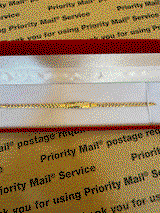 Brenda Salazar review photo