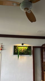 Veena Purohit review photo