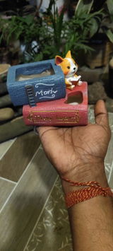 Milan Upadhyay review photo