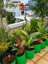 Elangovan, Chennai review photo