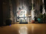 Anol review photo