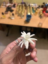 Nilut review photo