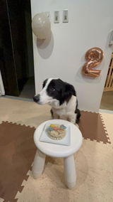 JILL姉 review photo